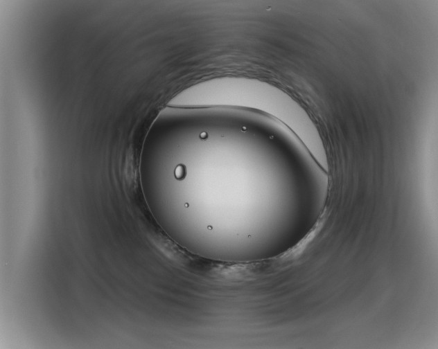 X0000115830186200911201512