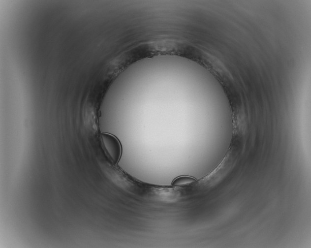 X0000115830187200911201512