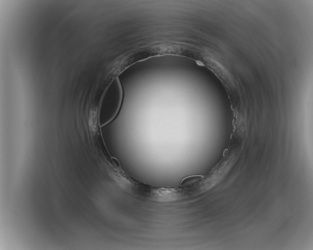 X0000115830189200911201512