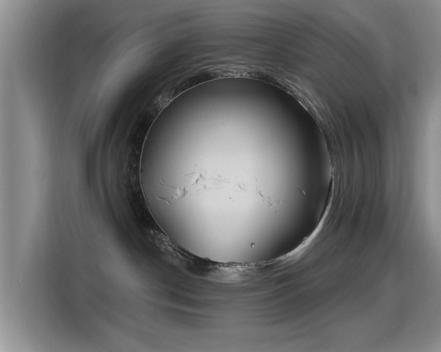 X0000115830190200911201513