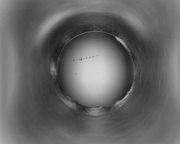 X0000115830191200911201513