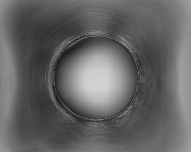 X0000115830193200911201512