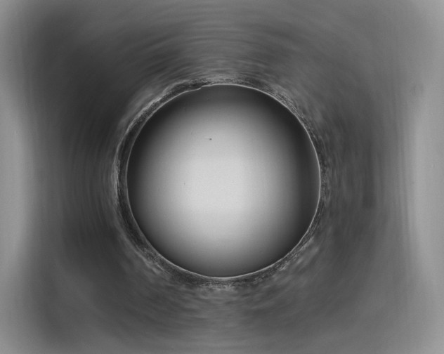 X0000115830194200911201512