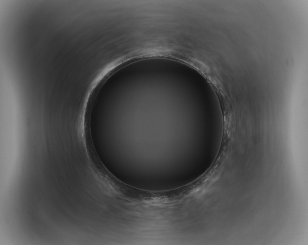 X0000115830196200911201512