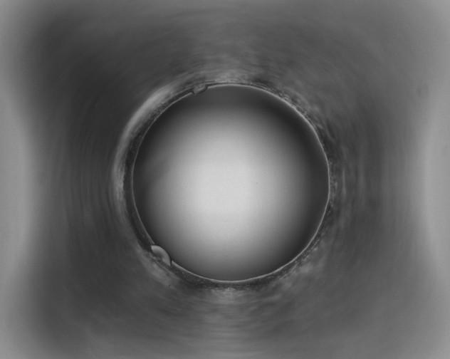 X0000115830197200911201512