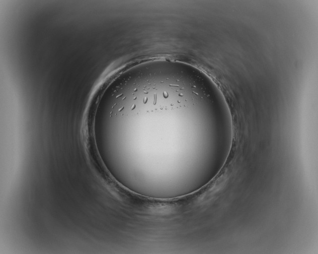 X0000115830198200911201512