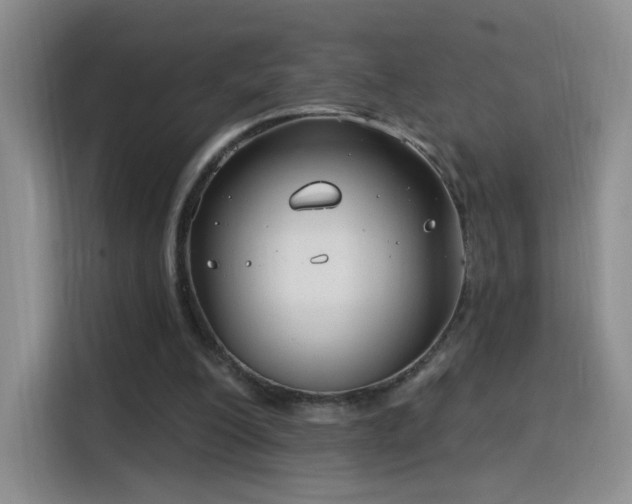 X0000115830200200911201512