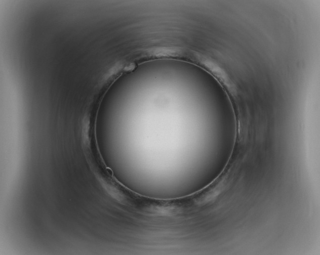 X0000115830201200911201512