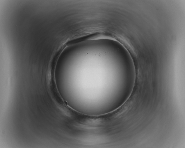 X0000115830202200911201512