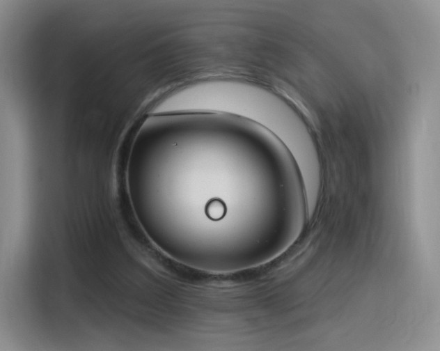 X0000115830203200911201512