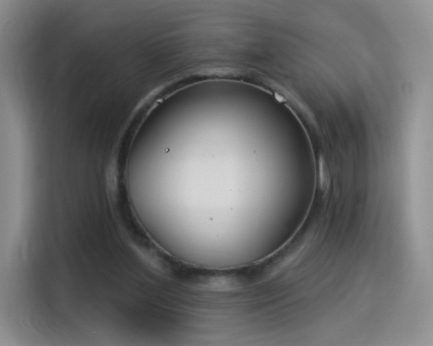 X0000115830204200911201512