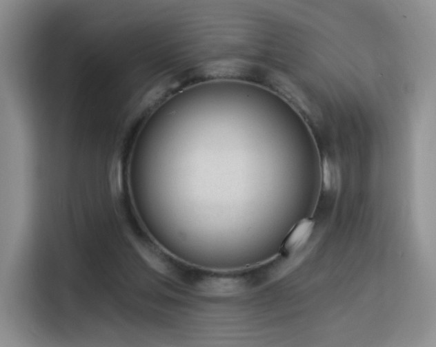 X0000115830205200911201512