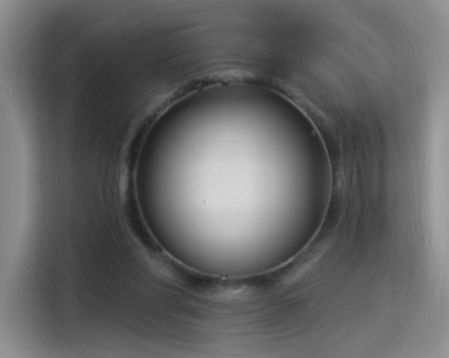 X0000115830206200911201512