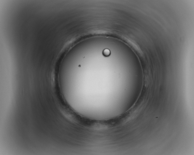 X0000115830207200911201512