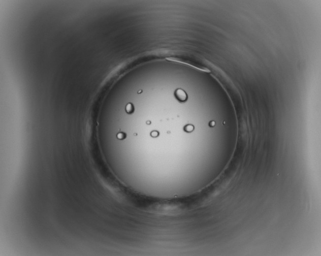 X0000115830208200911201512