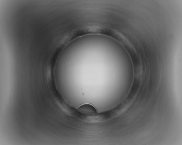 X0000115830213200911201512