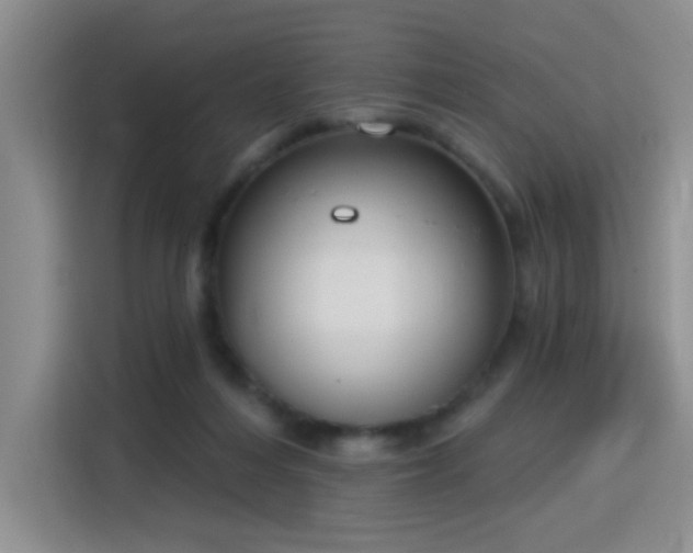 X0000115830216200911201512