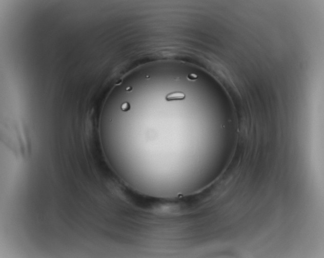 X0000115830220200911201512