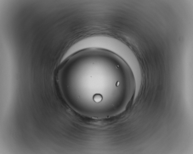 X0000115830221200911201512