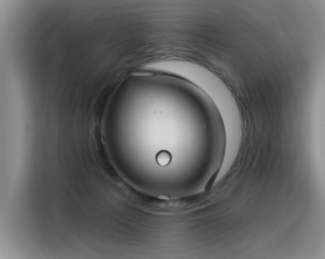 X0000115830225200911201511