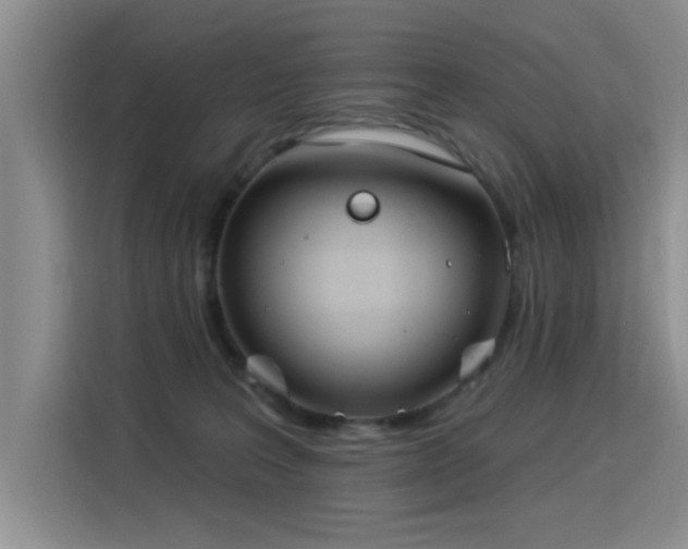 X0000115830227200911201511