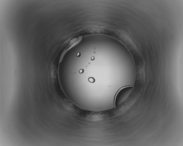 X0000115830228200911201511