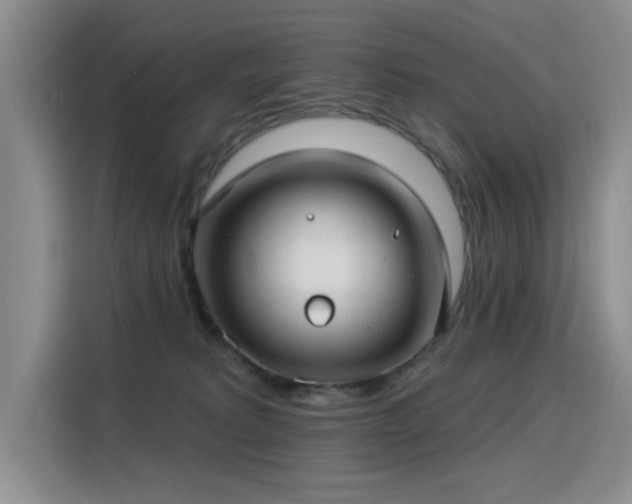 X0000115830229200911201511