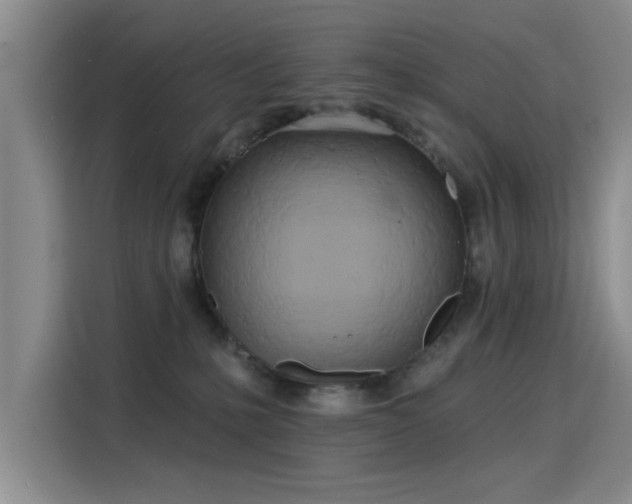 X0000115830231200911201511