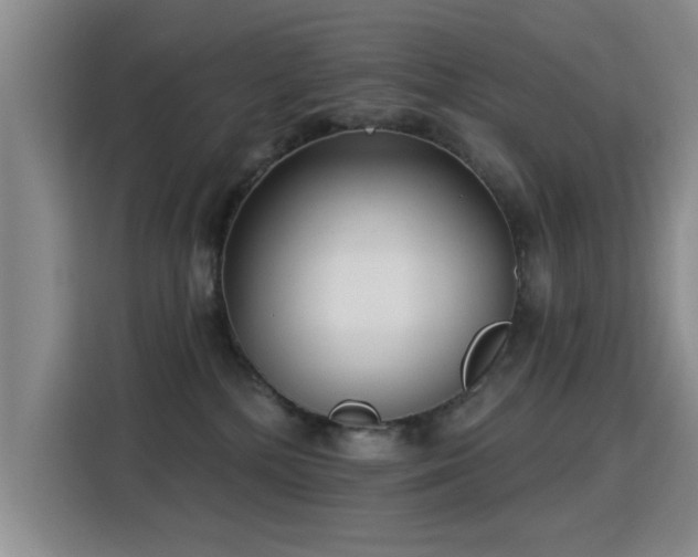 X0000115830232200911201511