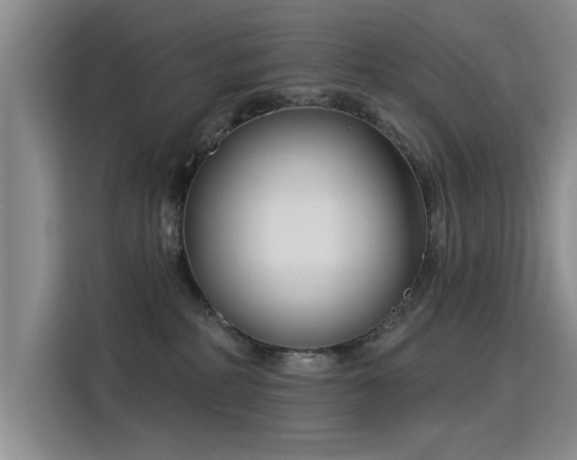 X0000115830234200911201511