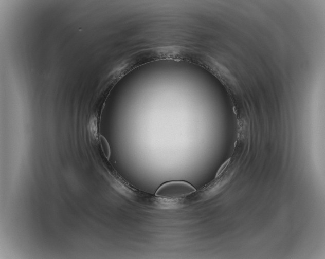 X0000115830238200911201511