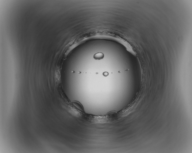 X0000115830240200911201511