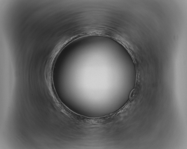 X0000115830241200911201511