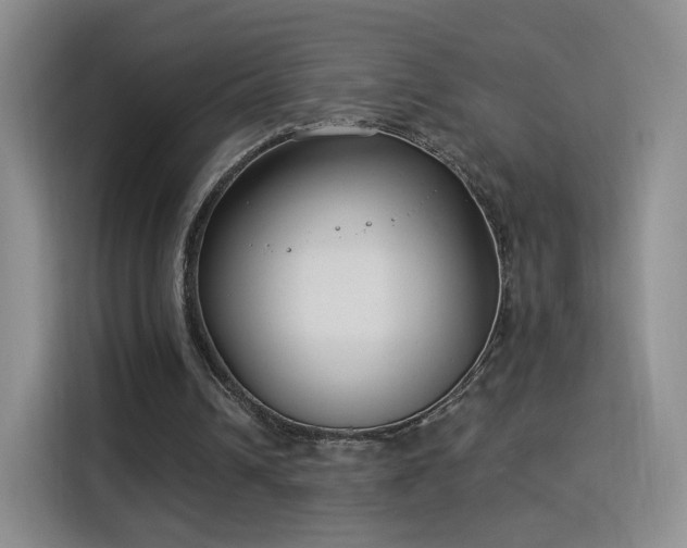 X0000115830242200911201511