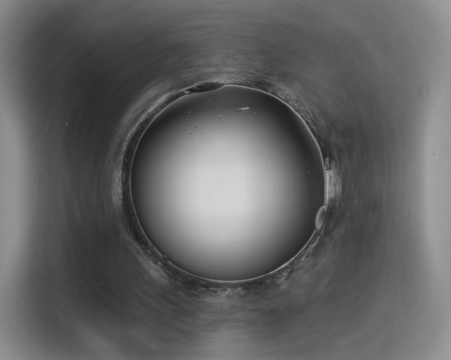 X0000115830243200911201511