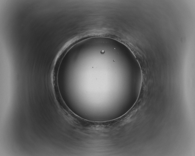 X0000115830244200911201511