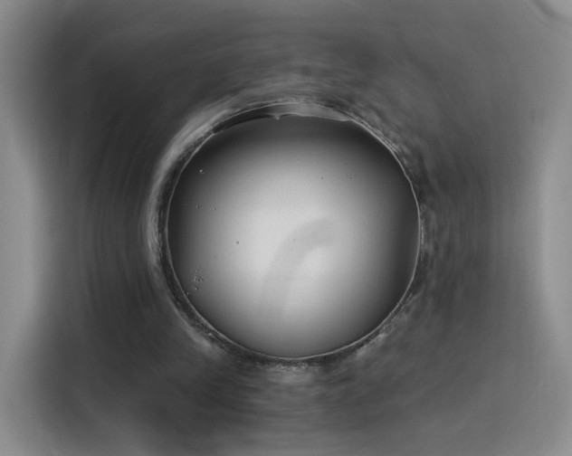 X0000115830245200911201511