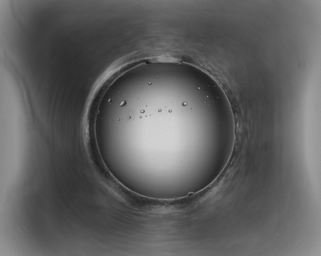 X0000115830246200911201511