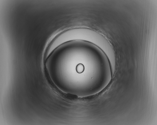 X0000115830248200911201511