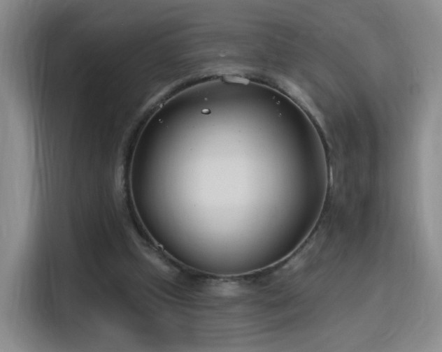 X0000115830249200911201511