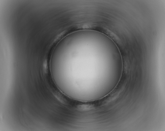 X0000115830251200911201511