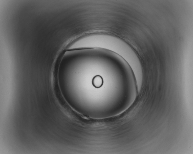 X0000115830252200911201511