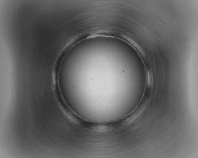 X0000115830253200911201511