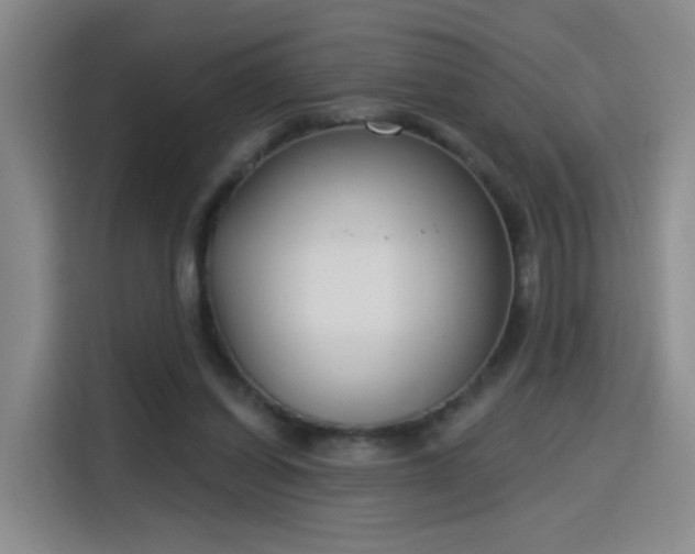 X0000115830254200911201511