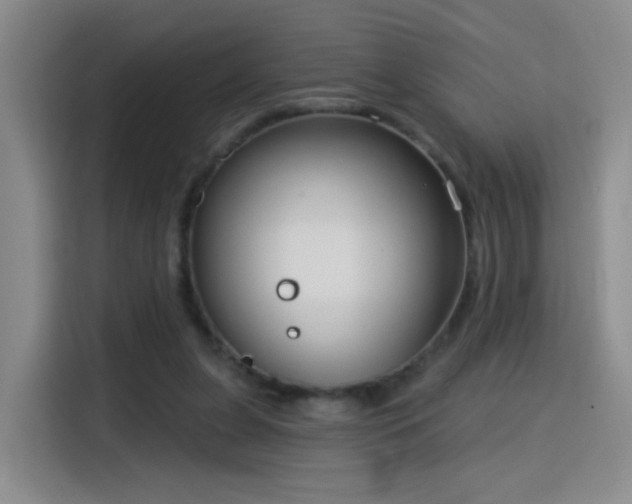 X0000115830255200911201511