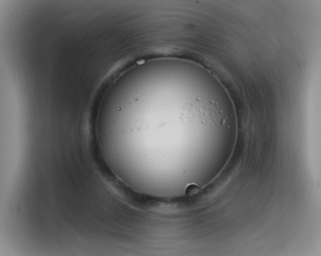 X0000115830256200911201511