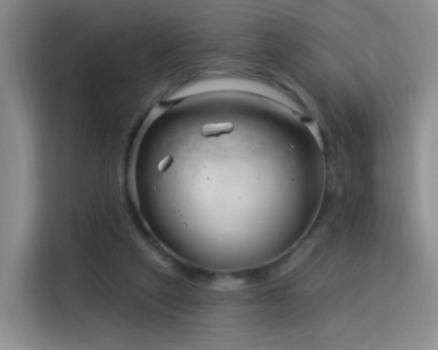 X0000115830257200911201511