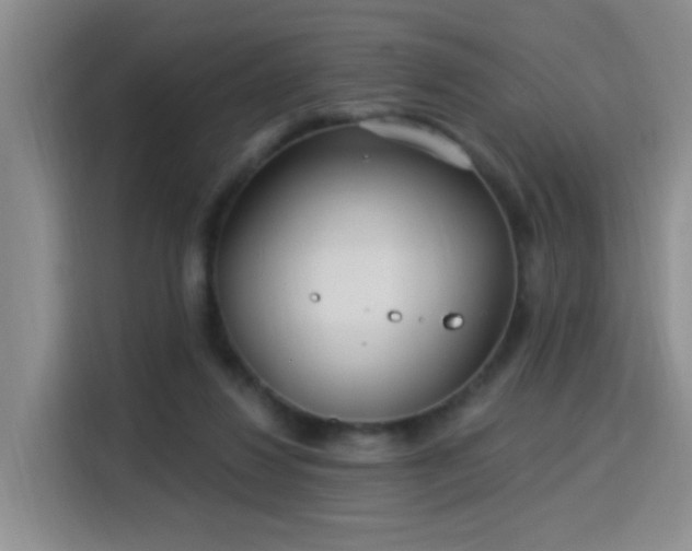 X0000115830260200911201511