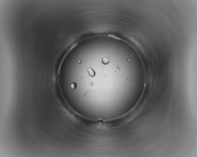 X0000115830261200911201511