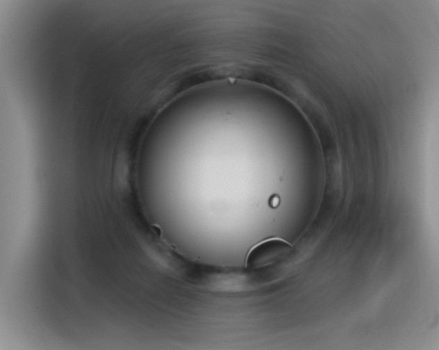 X0000115830266200911201511